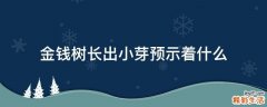 金钱树长出小芽预示着什么