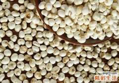 川贝加什么止咳 搭配这些既美味又止咳！