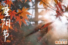 2023年重阳节是在几月几号