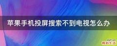 苹果手机投屏搜索不到电视怎么办