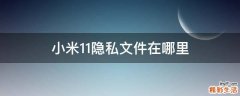 小米11隐私文件在哪里