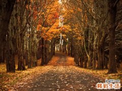 喉返神经损伤引发什么疾病