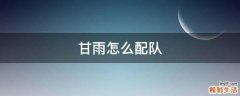 甘雨怎么配队