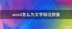 word怎么为文字标注拼音