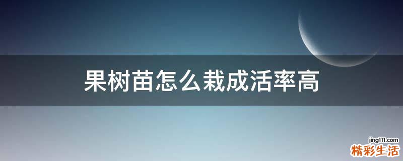 果树苗怎么栽成活率高