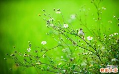 对眼睛好一点为双眼保鲜