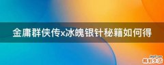 金庸群侠传x冰魄银针秘籍如何得