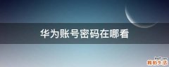 华为账号密码在哪看