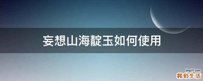 妄想山海靛玉如何使用