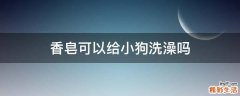 香皂可以给小狗洗澡吗