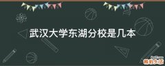 武汉大学东湖分校是几本