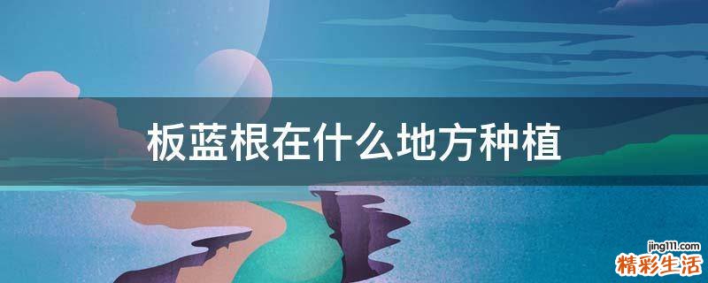 板蓝根在什么地方种植