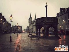 抵抗力差的老人吃蜂胶好吗