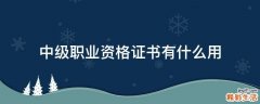 中级职业资格证书有什么用