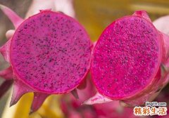 吃火龙果可以降血压吗 吃火龙果降血压的原理