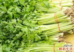 多吃芹菜能降血压吗 芹菜怎样吃才能降血压