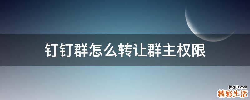 钉钉群怎么转让群主权限
