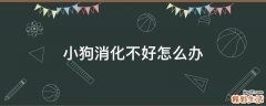 小狗消化不好怎么办