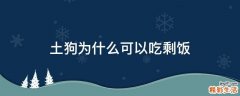 土狗为什么可以吃剩饭