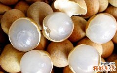补血吃什么 十大植物性补血食材