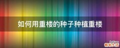 如何用重楼的种子种植重楼