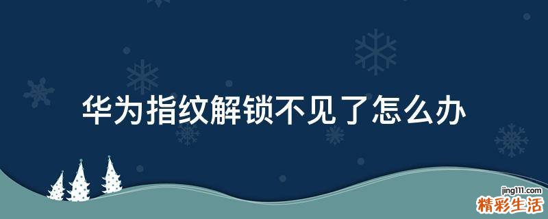 华为指纹解锁不见了怎么办
