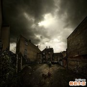 老人吃什么营养好