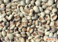 春天怎么祛湿 春季多吃这些食物去湿气