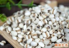 春天吃什么祛湿气 6种食物有奇效