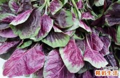 吃什么食物可以去湿 祛湿吃哪些食物