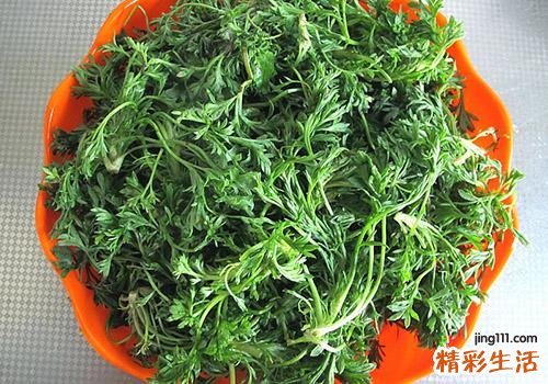 茵陈去湿气吗 什么人不能用茵陈去湿气