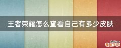 王者荣耀怎么查看自己有多少皮肤