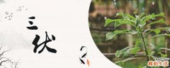 三伏天用什么泡脚去湿气 三伏天用艾叶泡脚多长时间泡一次最好