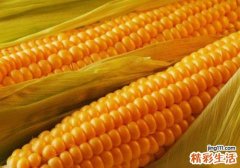 胃不好可以吃玉米吗