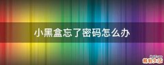 小黑盒忘了密码怎么办