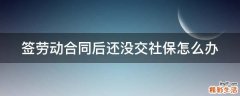签劳动合同后还没交社保怎么办