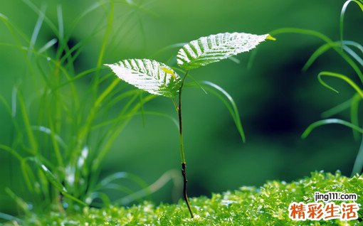 试论土家医学对气病的认识