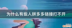 为什么有些人拼多多链接打不开