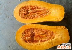 春季养胃吃什么好 养胃多吃这5种食物