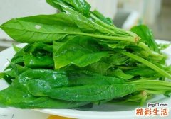 春季吃什么养胃 这些蔬菜值得多吃