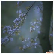 水润秘方解决夏季护肤难题