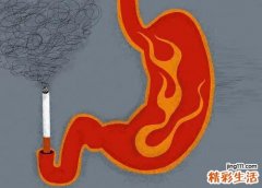 如何保养胃肠 平时怎样保养胃