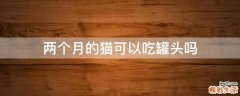 两个月的猫可以吃罐头吗