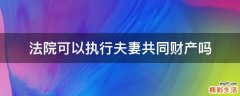 法院可以执行夫妻共同财产吗