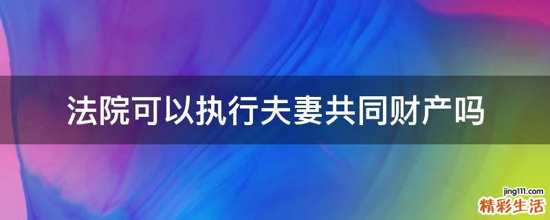 法院可以执行夫妻共同财产吗