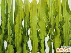 排毒吃什么蔬菜 常吃四种蔬菜降脂排毒