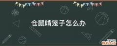 仓鼠啃笼子怎么办