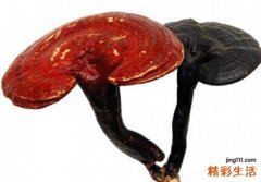 怎么帮助肝脏排毒 5大奇招解肝毒