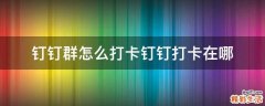钉钉群怎么打卡钉钉打卡在哪