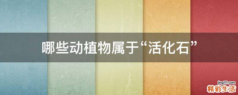 哪些动植物属于“活化石”
